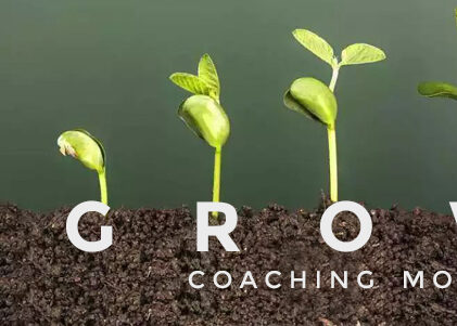 Apa Itu GROW Coaching Model Bagaimana Memakai GROW Coaching Model, apa itu coaching, cara coaching, dan bagaimana menjadi coach dan tahap- tahap coaching yang benar